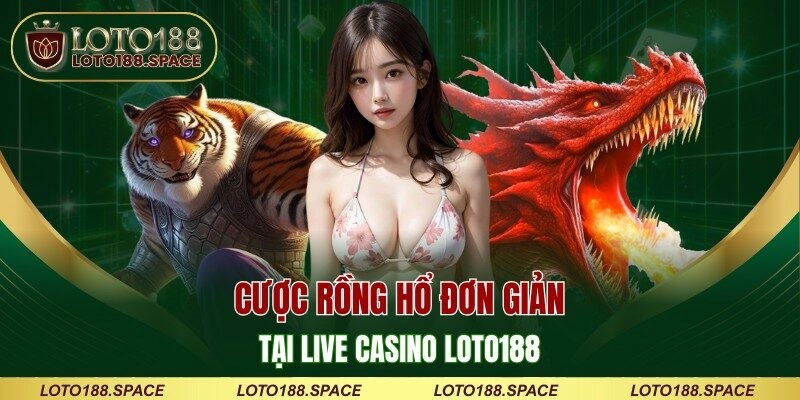 Cược Rồng Hổ đơn giản tại live casino LOTO188