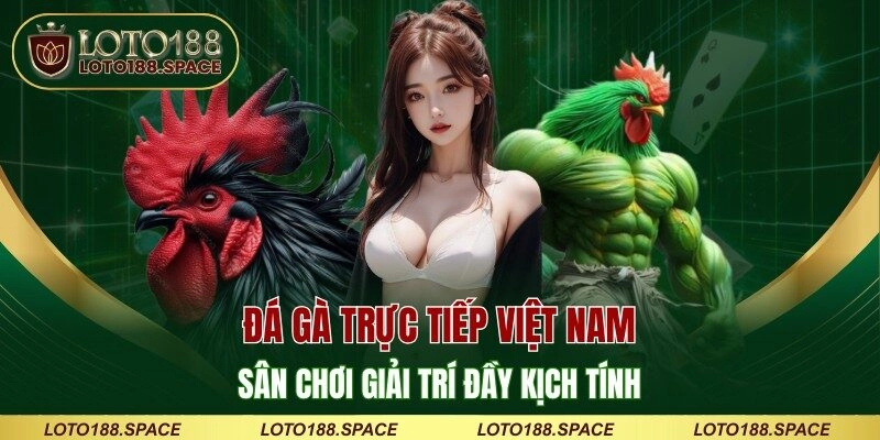 Đá Gà Trực Tiếp Việt Nam – Sân Chơi Giải Trí Đầy Kịch Tính