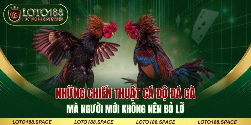 Những chiến thuật cá độ đá gà mà người mới không nên bỏ lỡ